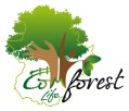 logo-life-comforest_alta